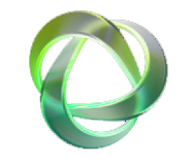 Multi Swap Net