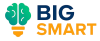 BigSmart